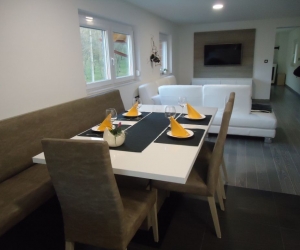 Jedilnica & Dnevna soba - pogled