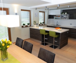 Moderna kuhinja s pultom