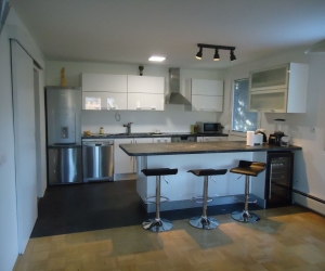 Moderna kuhinja z otokom in vitrino